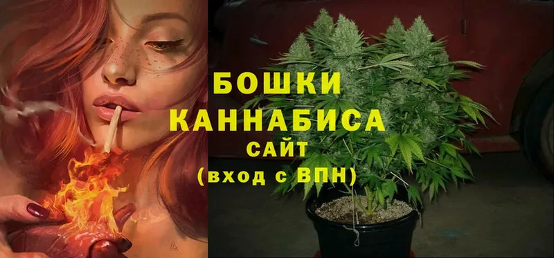 shop состав  Струнино  Бошки марихуана SATIVA & INDICA 